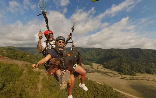 Paraglading