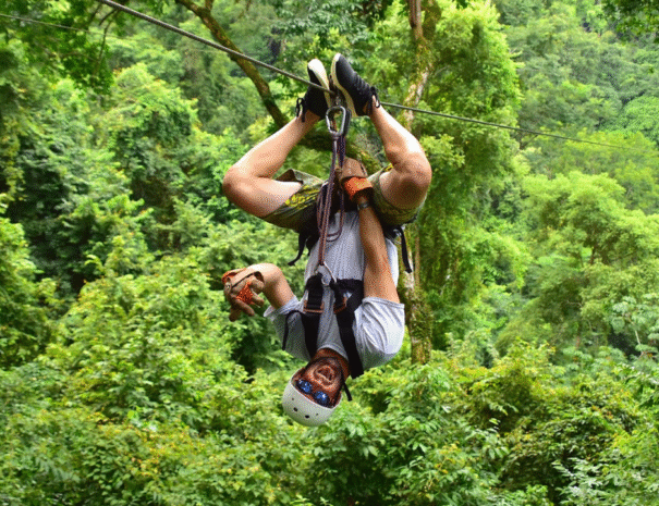 Zipline tour