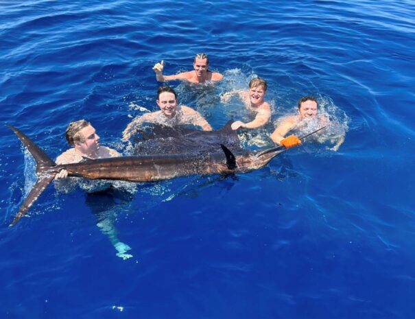 sport fishing los sueños marriott