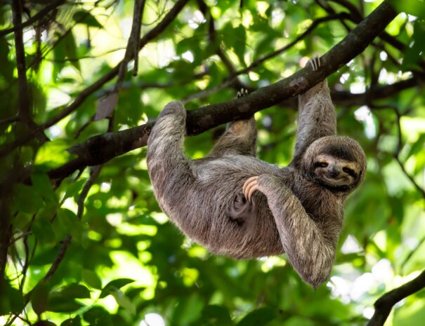 tours costa rica