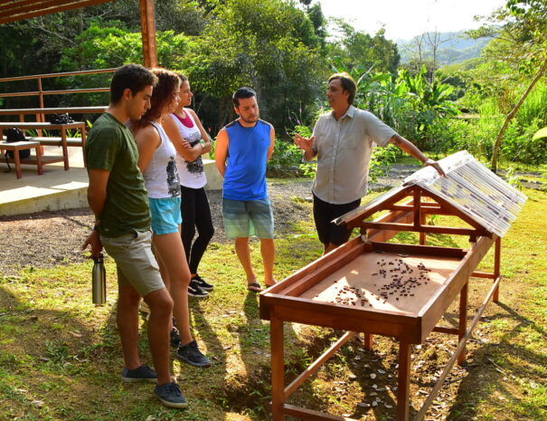 chocolat tour jaco beach (2)