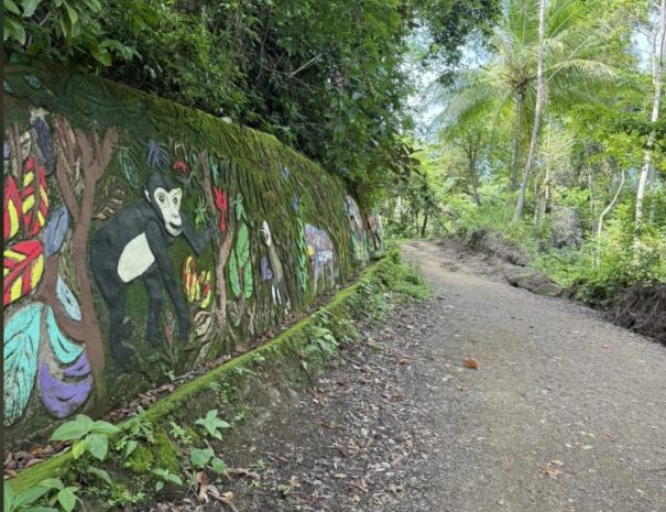 haking tour jaco beach (10)