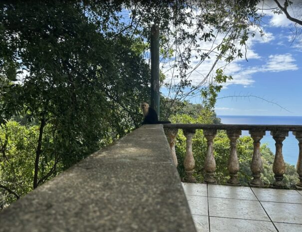 haking tour jaco beach (6)