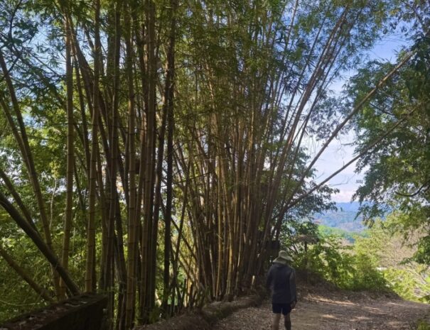 haking tour jaco beach