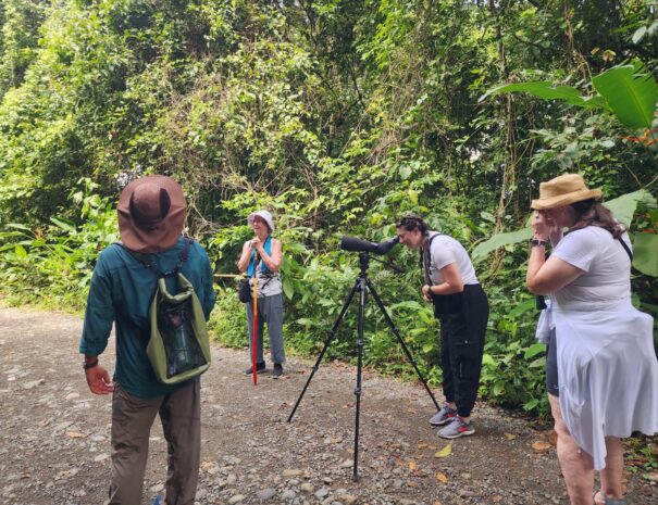 vacation package nature ture costa rica