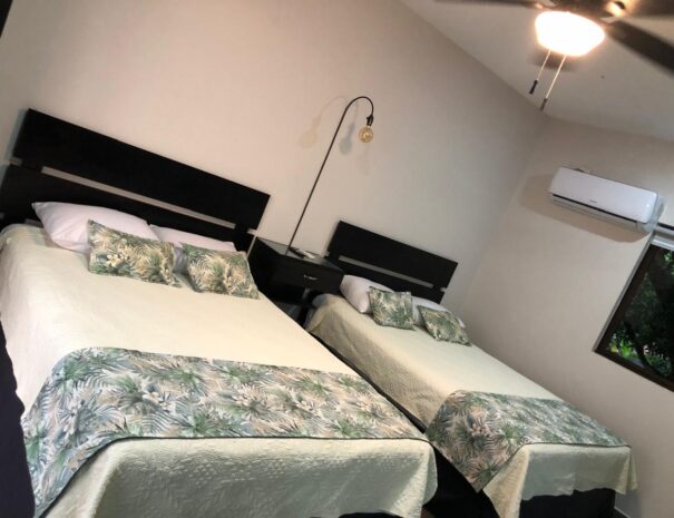 WhatsApp Image 2025-10-24 at 11.33.29