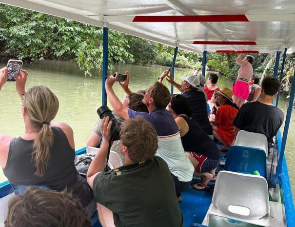 WhatsApp Image 2025-11-20 at 15.20.49