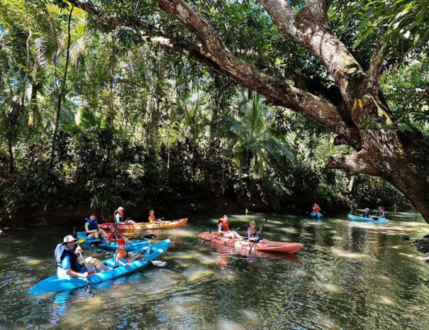 WhatsApp Image 2025-11-20 at 15.21.07