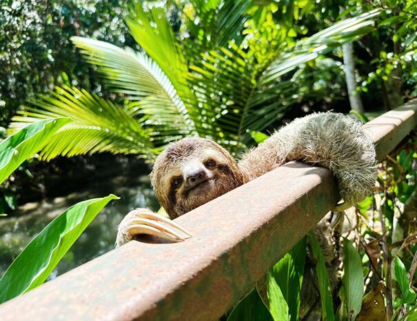 WhatsApp Image 2025-11-20 at 15.21.09