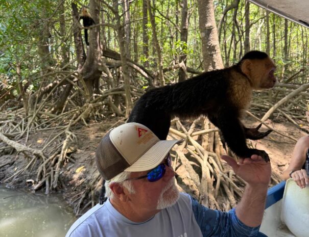 WhatsApp Image 2025-11-20 at 15.21.23