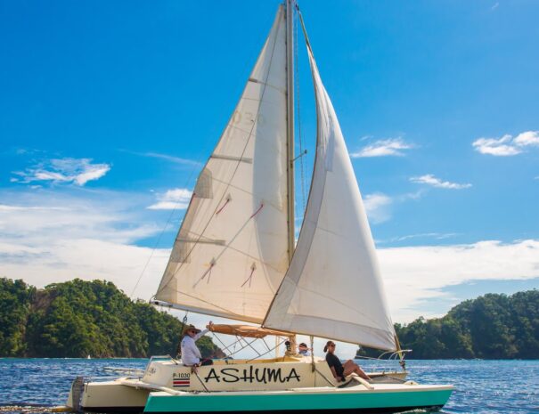 ashuma sailing photo